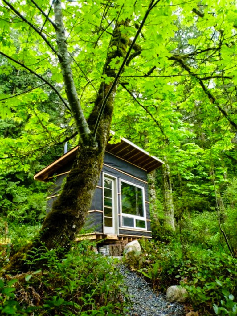 2_Tiny-House-500-769x1024.jpg