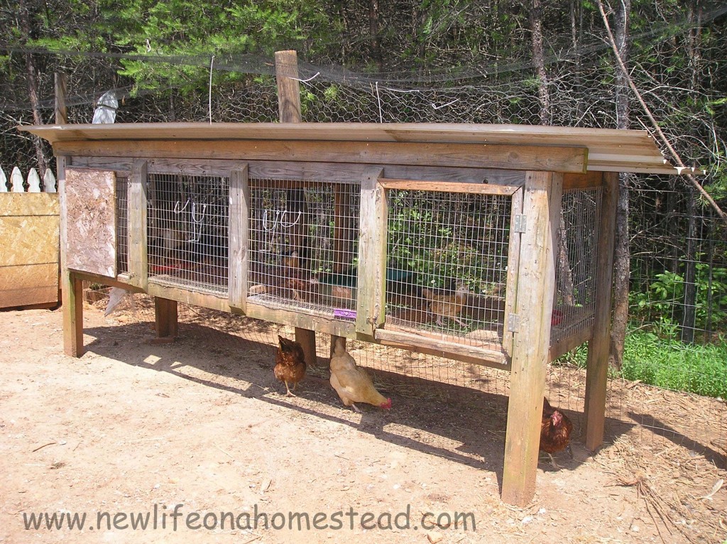 chick-coop-1024x766.jpg