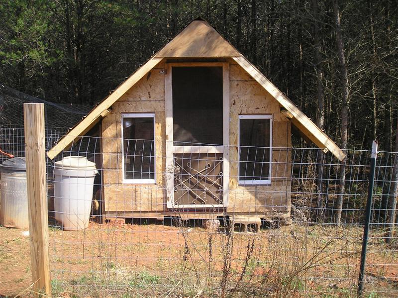 chicken-coop-2-Medium.jpg