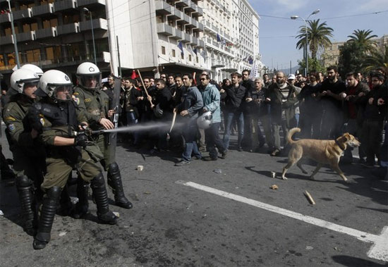 dog-at-riots.jpg
