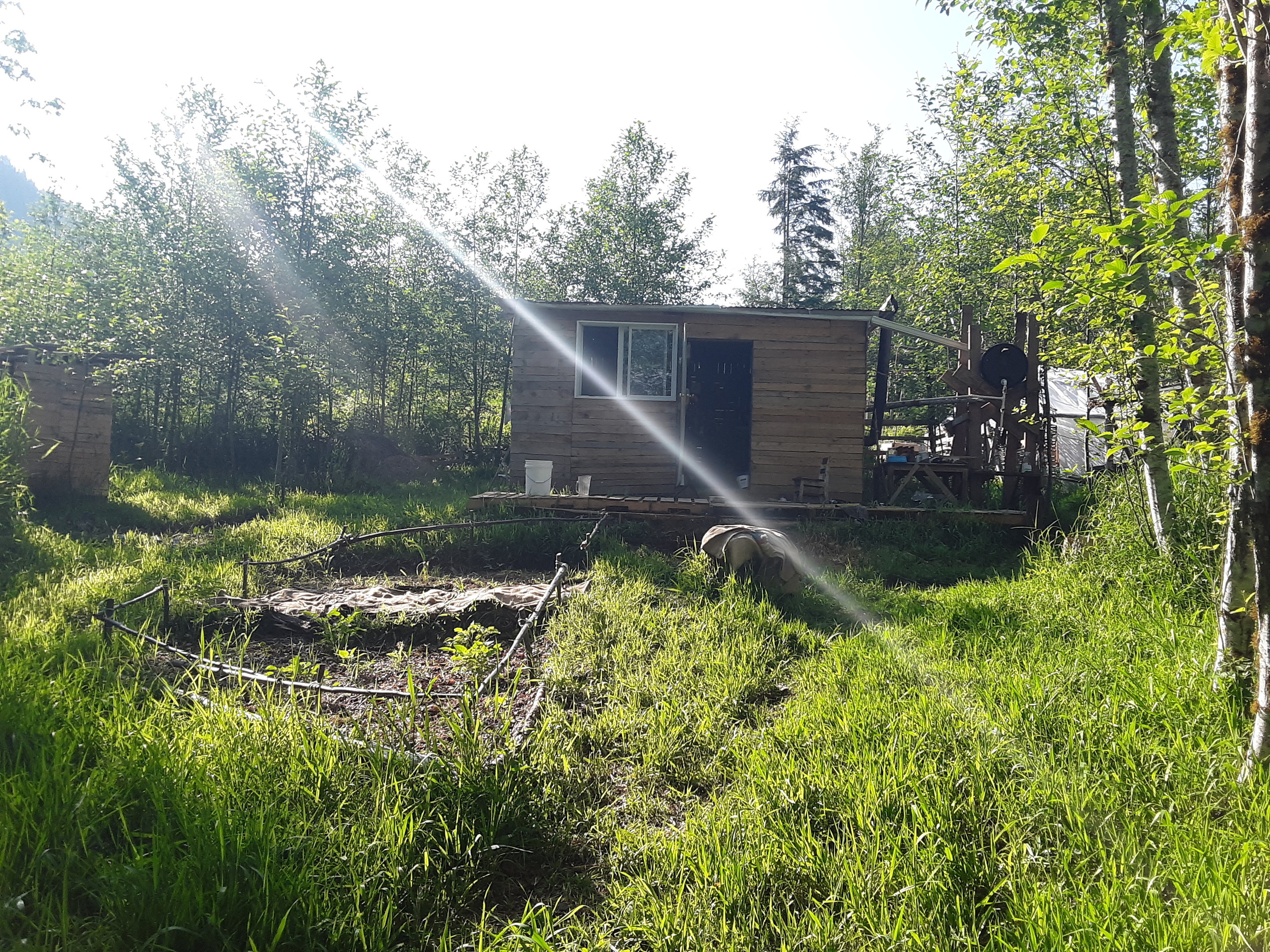 front view of finished shithouse.jpg