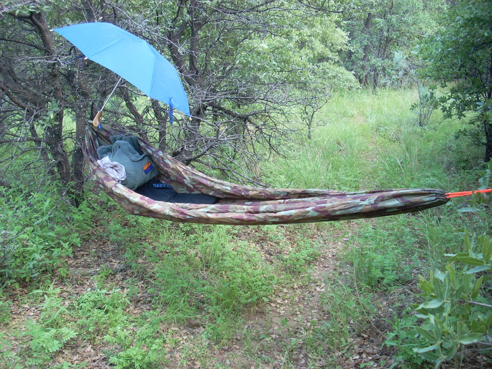 Hammock camps (10).jpg