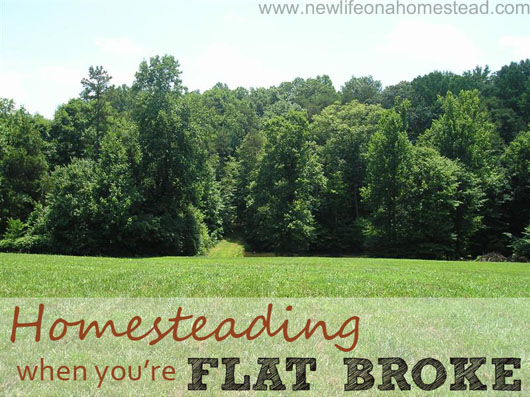 Homesteading-when-youre-flat-broke-small.jpg