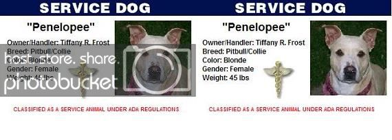 peneloservicedog-1.jpg