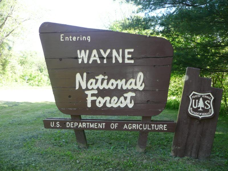 wayne_national_forest.jpg