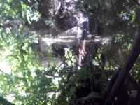 2011-08-13_13-36-40_0.jpg