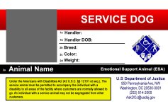 k9-sample-flat-JPG.jpg