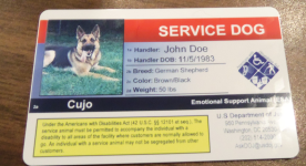 k9.png
