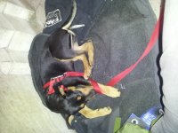 2011-11-04 11.39.42.jpg