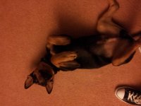 2011-12-14 21.02.52.jpg