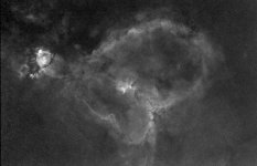 5217640663_314e78b47e_b.jpg
