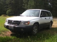 SUBY FORESTER.jpg