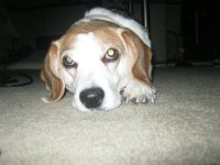 IMG_6467.JPG