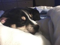 2013-12-27-213921.jpg