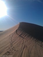 climbing the dune_01-04-2013_040.jpg