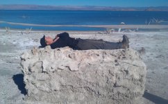 playing dead_01-04-2013_029.jpg