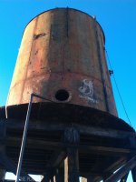 swamp donkey tag_01-02-2013_007.jpg