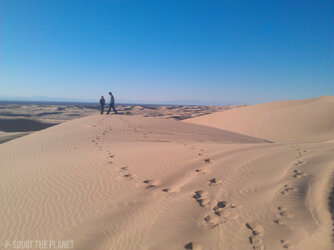 the sandy horizon_01-04-2013_034.jpg
