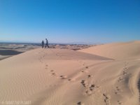 the sandy horizon_01-04-2013_034.jpg