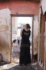 Magpie in doorway_12-29-2011_030.jpg