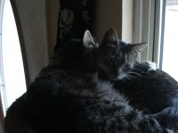 DSC01461.JPG