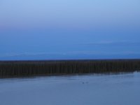 P1010158.JPG