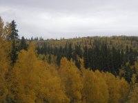 P1010192.JPG