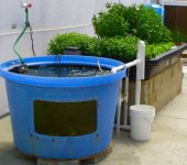 aquaponics1.jpg