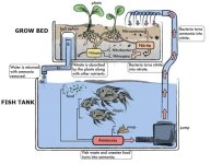 aquaponics_design1_e1384871167728.jpg