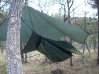 Hammock camps (9).jpg