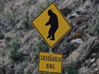 storymaker-bigfoot-bust-reasons-photos-1110123-515x388.jpg