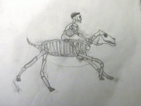 skeleton.gif