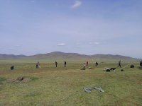 IMG_20160524_012727.jpg