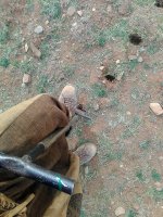 IMG_20160524_012818.jpg