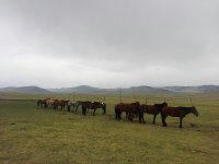 IMG_20160523_154825.jpg