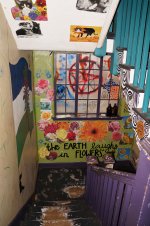 dsc00406.jpg