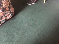 IMG_0589.JPG