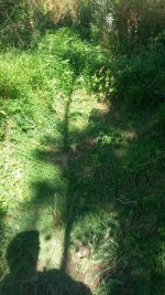 20160630_113034.jpg
