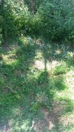 20160630_113046.jpg