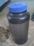 th_IMG_0554.jpg