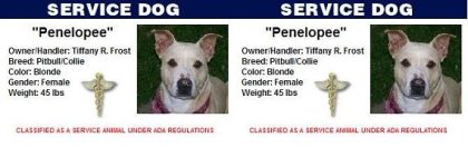 peneloservicedog-1.jpg