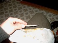 IM003078.jpg