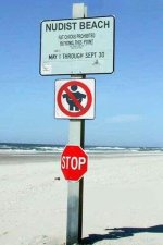 Fat%20Chicks%20Prohibited.jpg