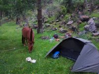 IMG_20160707_010646.jpg