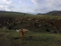 IMG_20160531_232825.jpg
