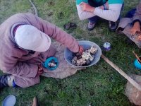 IMG_20160607_014510.jpg