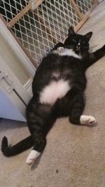 image.jpeg