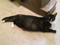 image.jpeg