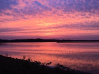 IMG_0831.JPG