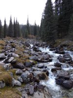 P1010201.JPG